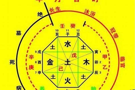 喜神 木|八字入门基础 第六篇 如何判断八字喜用神